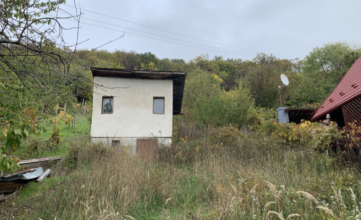 Pozemok/vinica